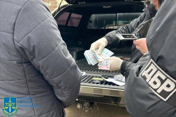 Выдавали удостоверения за взятку: в Одесской области будут судить чиновников лесоохотничьего управления