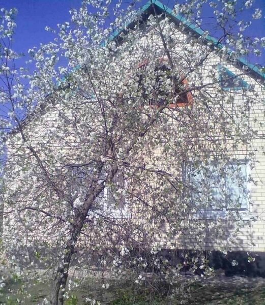 &laquo;Директорка школи промовилася знайомій, що&nbsp;здала окупантам всю нашу сім&rsquo;ю&raquo;: дружина цивільного заручника