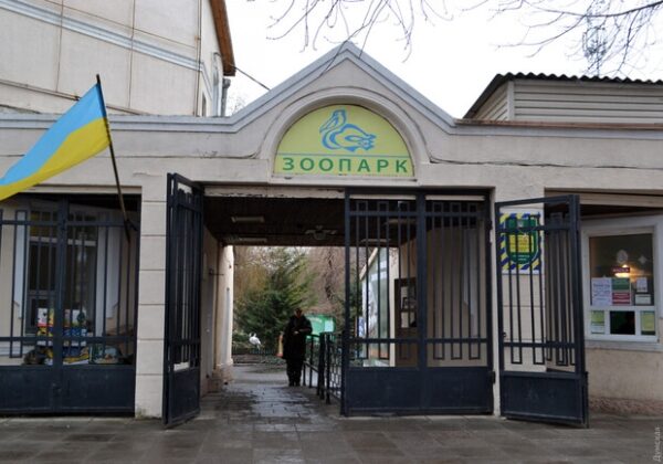 В Одесском зоопарке капитально обновят отопление: работы оценивают почти в 5 миллионов гривен