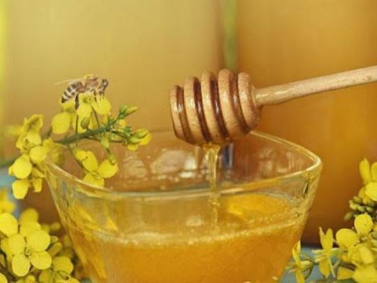 Один з&nbsp;найкращих продуктів для людей похилого віку: цей мед знижує рівень холестерину та&nbsp;захищає кровоносні судини