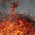 Очередной дроновый удар по Одесчине: на двух островах горит камыш