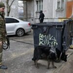 Дивом врятували: у Миколаєві у контейнері зі сміттям знайшли новонародженого малюка