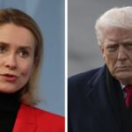 Трамп вводит тарифы против европейских союзников из-за Гренландии: ЕС готов отстаивать свои интересы