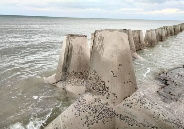 В Нацпарке «Тузловские лиманы» море разрушает тетраподы на пересыпи: что говорят экологи В Нацпарке «Тузловские лиманы» море разрушает тетраподы на пересыпи: что говорят экологи