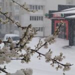 Посевной календарь на февраль 2026: благоприятные и неблагоприятные дни