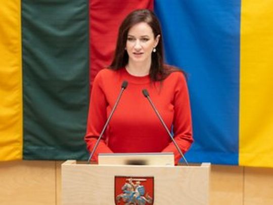Блокування Угорщиною санкцій проти росії та&nbsp;допомоги Україні неприйнятне: у&nbsp;Литві виступили з&nbsp;заявою