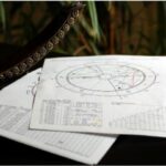 Спокій Кроликів, жвавість Коней та дисциплінованість Півнів: Східний гороскоп на тиждень 2 — 8 березня