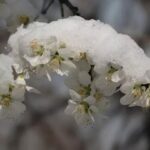 Весна на порозі: синоптики порадували прогнозом на березень