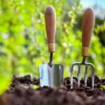 Не лише розсада: чим зайнятися в саду та городі у квітні (календар)