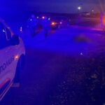 На Одесчине легковушка насмерть сбила юную девушку