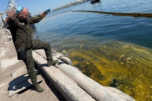 Из-за удара по порту на Одесщине в море попали тонны подсолнечного масла