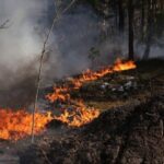 Пожар в Чернобыльской зоне продолжается: МВД сообщило об уровне радиации в Украине на 8 мая