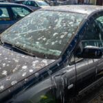 Як очистити кузов автомобіля від пташиного посліду без подряпин