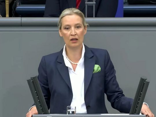 У&nbsp;Німеччині розкритикували Україну за&nbsp;спротив російській агресії